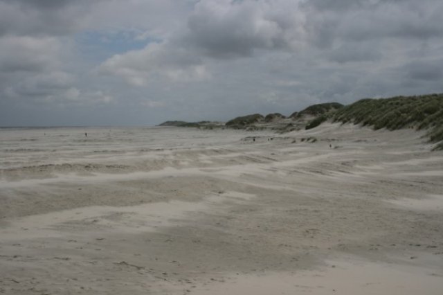 img_0612.jpg