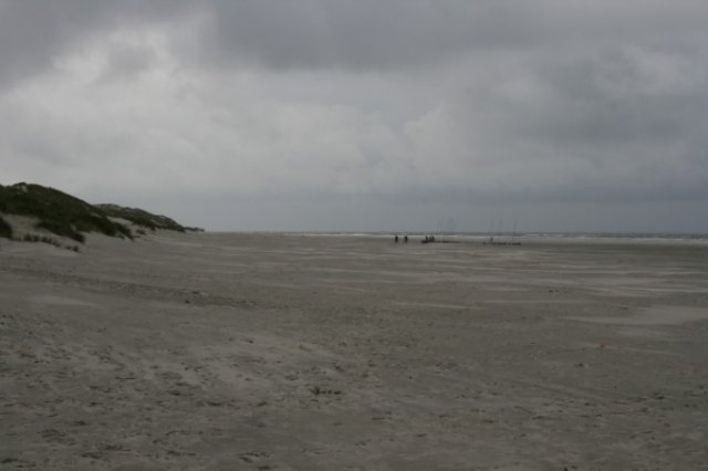 img_0631.jpg