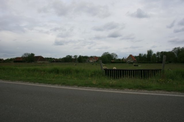 img_0720.jpg
