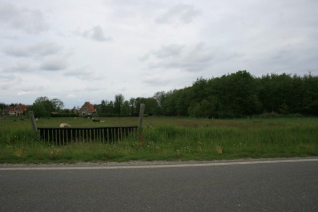 img_0722.jpg