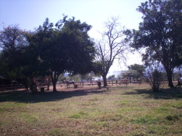 _0080.jpg