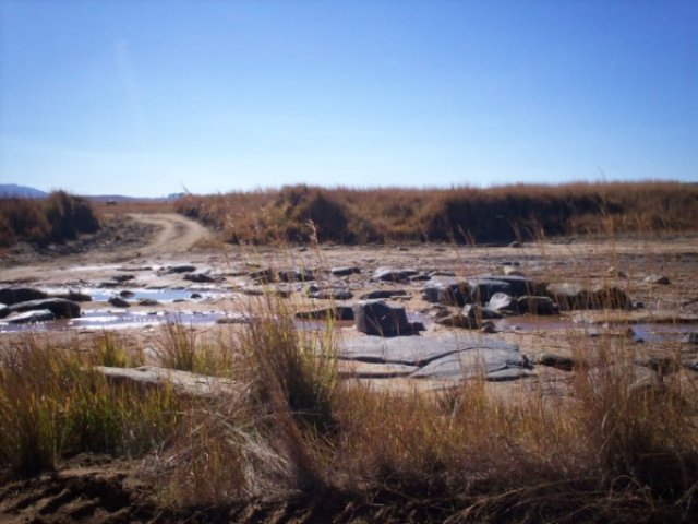 _0151.jpg