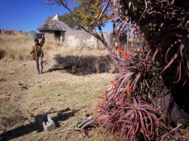 _0166.jpg